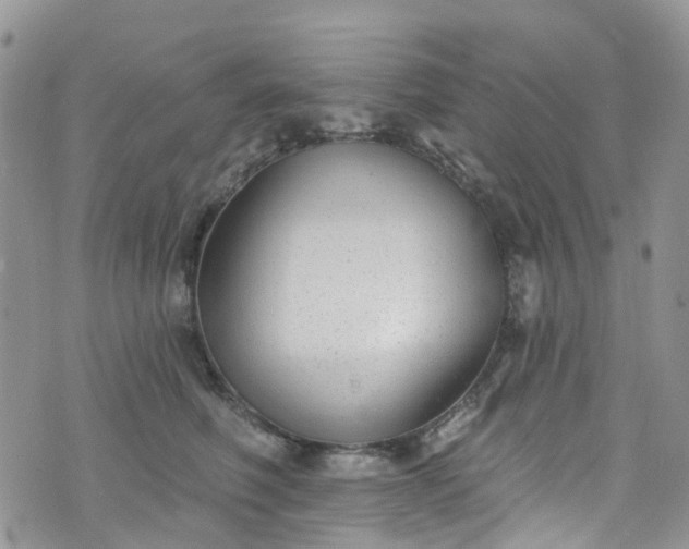 X0000076400614200610161207