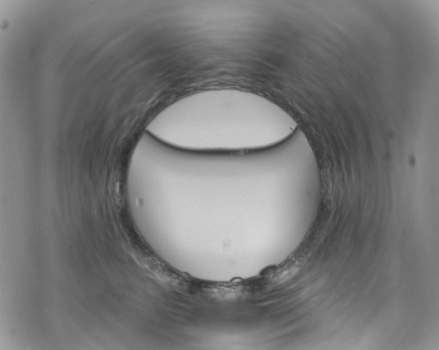 X0000076400615200610161207