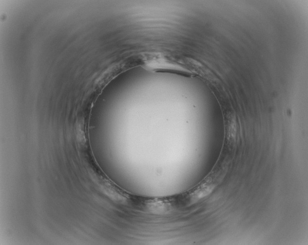 X0000076400616200610161207