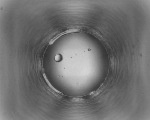 X0000076400617200610161207