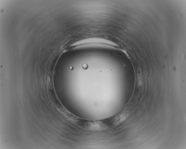 X0000076400618200610161207