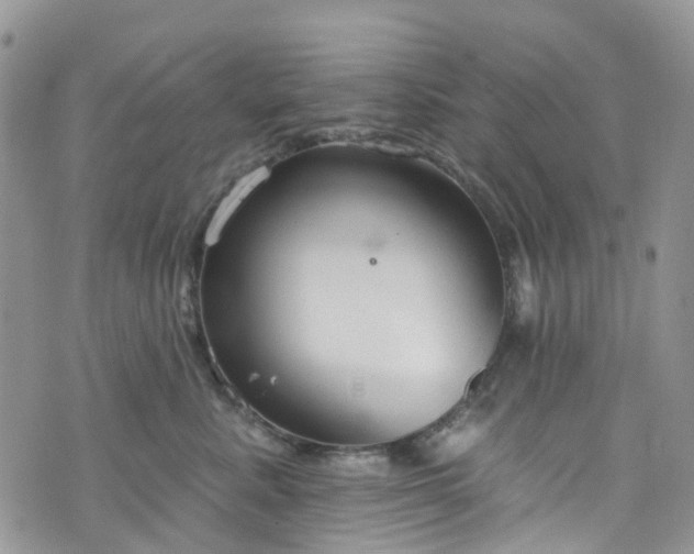 X0000076400619200610161207