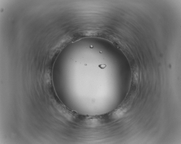 X0000076400620200610161207