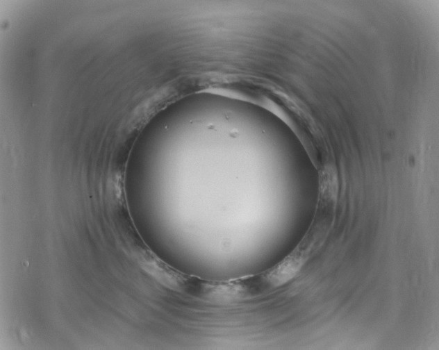 X0000076400621200610161206