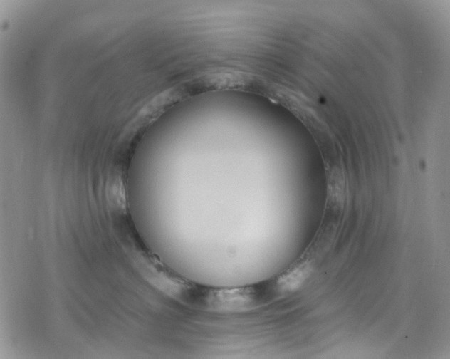 X0000076400622200610161206