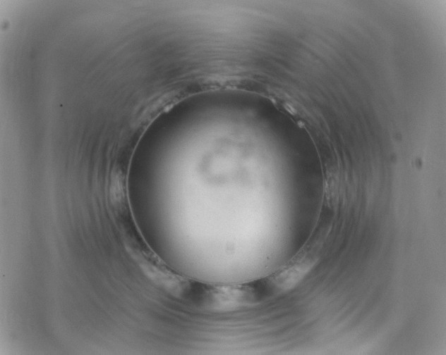 X0000076400623200610161206