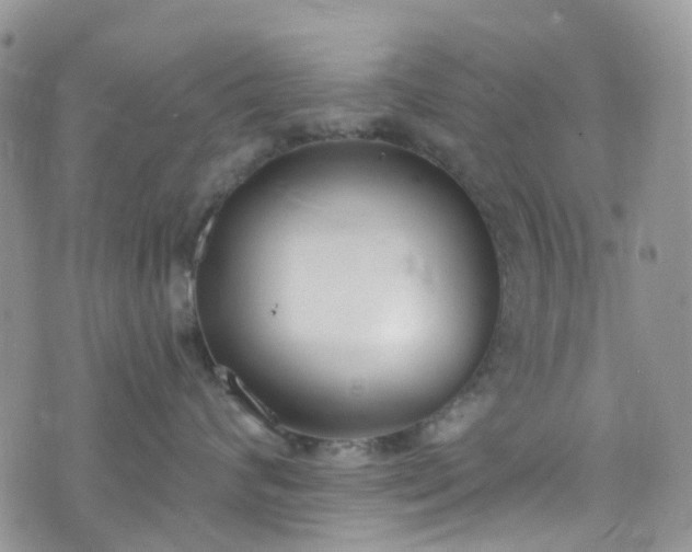 X0000076400624200610161206