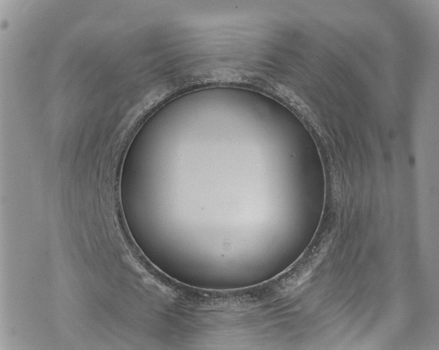 X0000076400625200610161206