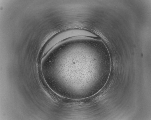 X0000076400626200610161206