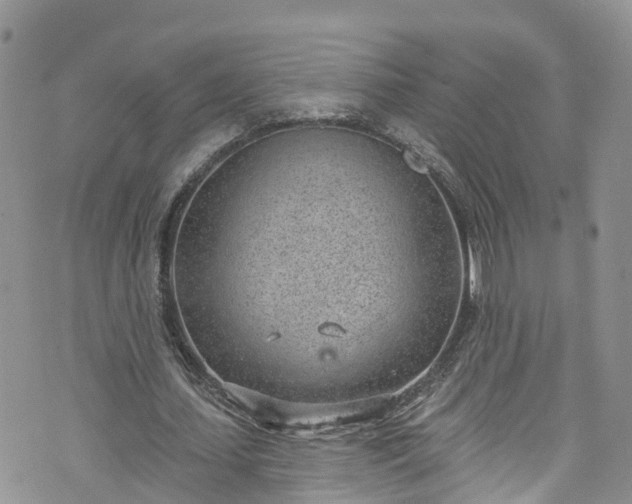 X0000076400627200610161206