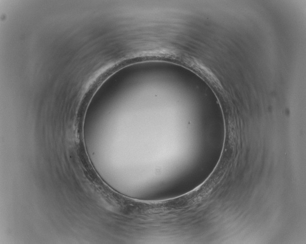 X0000076400628200610161206