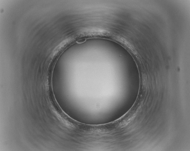 X0000076400629200610161206