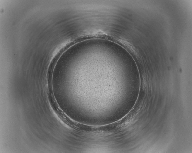 X0000076400630200610161206