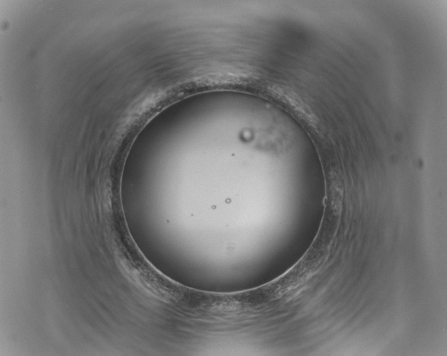 X0000076400631200610161206