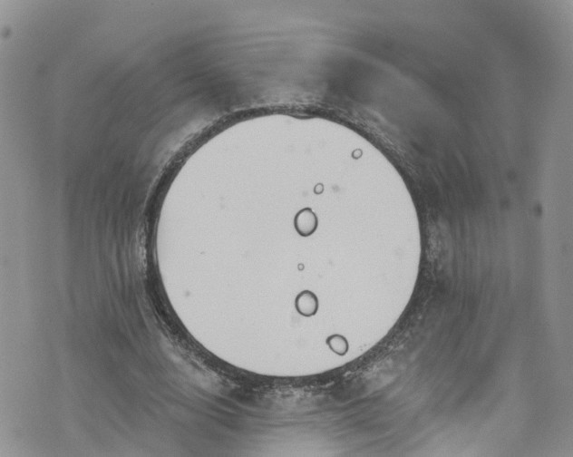 X0000076400632200610161206