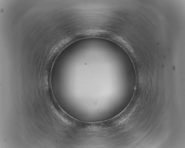 X0000076400633200610161206