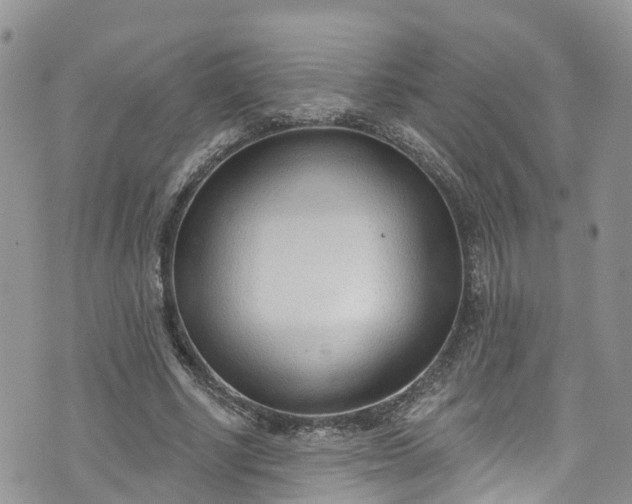 X0000076400634200610161206