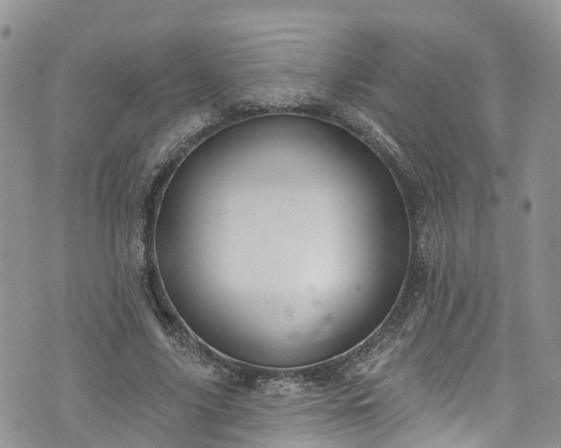 X0000076400635200610161206