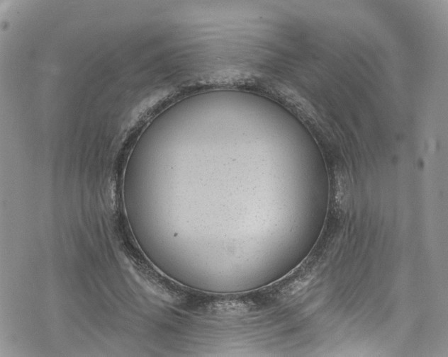 X0000076400636200610161206