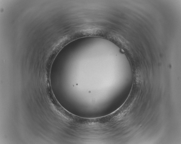 X0000076400637200610161206