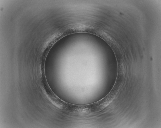 X0000076400638200610161206