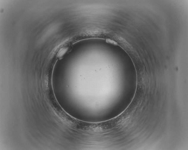 X0000076400640200610161206