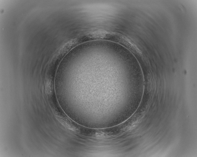 X0000076400641200610161206