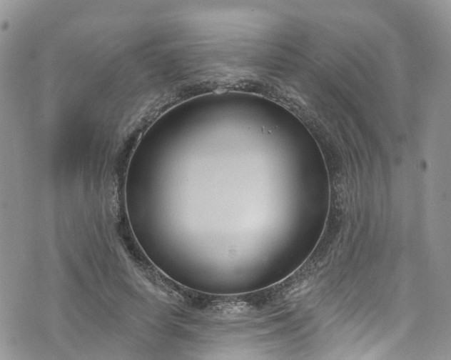 X0000076400642200610161206