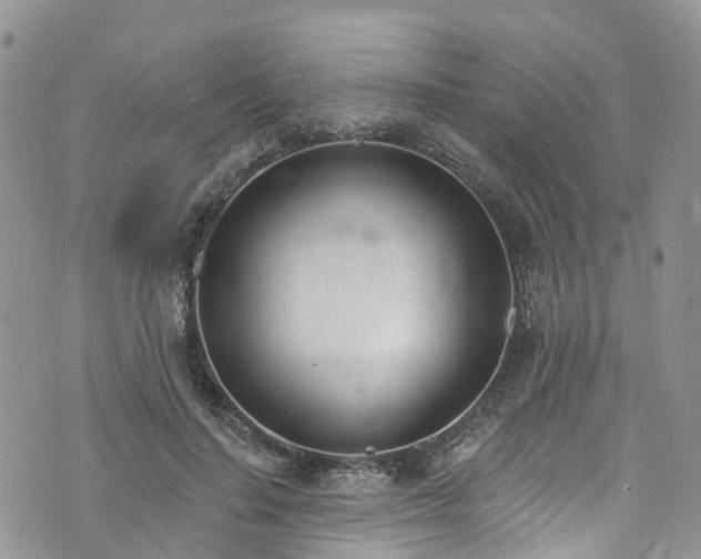 X0000076400644200610161206