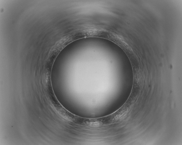 X0000076400645200610161206