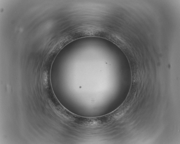 X0000076400646200610161206