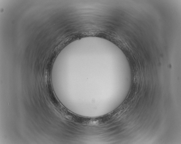 X0000076400647200610161206