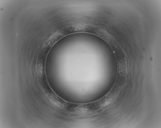 X0000076400648200610161206