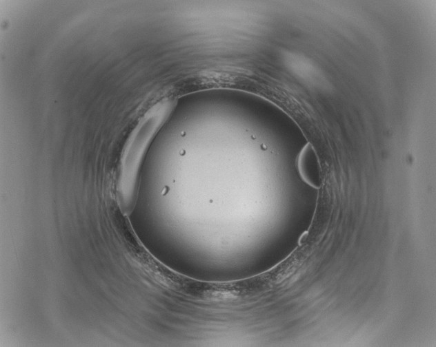 X0000076400649200610161206