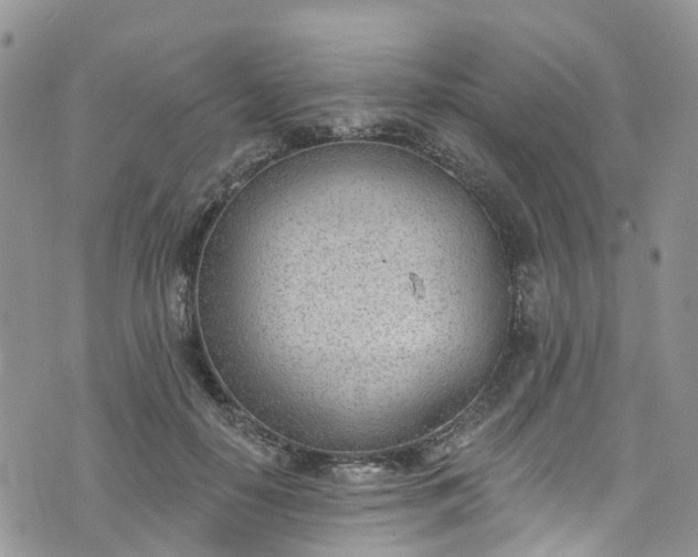 X0000076400650200610161206