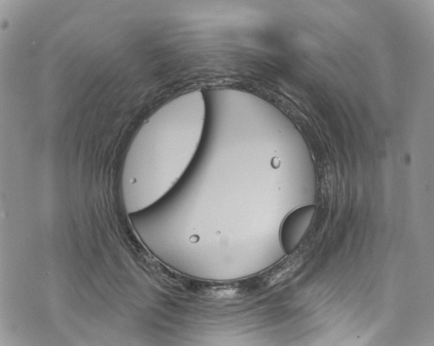 X0000076400651200610161206