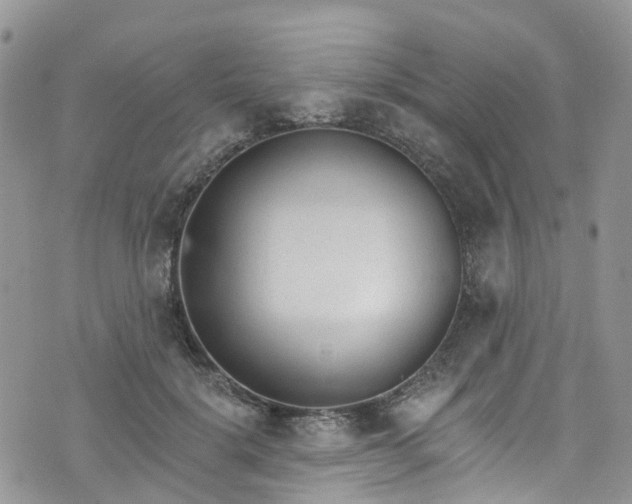 X0000076400652200610161206