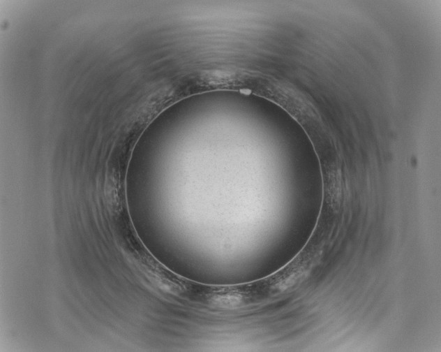 X0000076400653200610161206