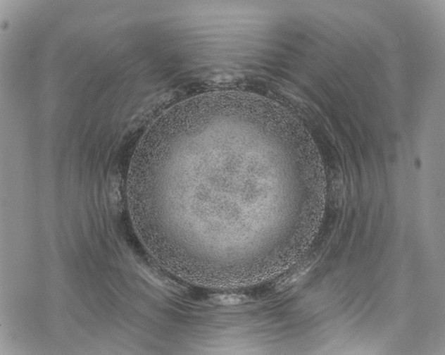 X0000076400654200610161206