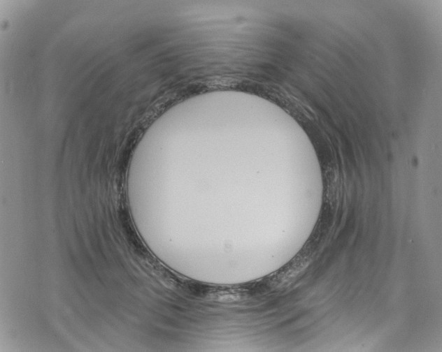 X0000076400655200610161206