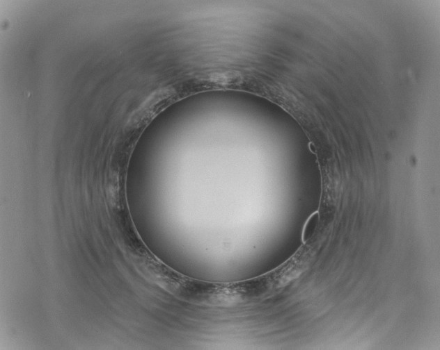 X0000076400656200610161206