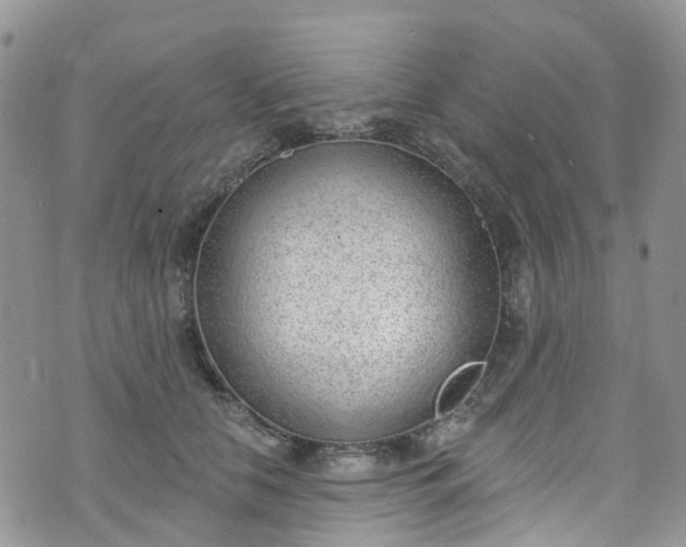 X0000076400658200610161206