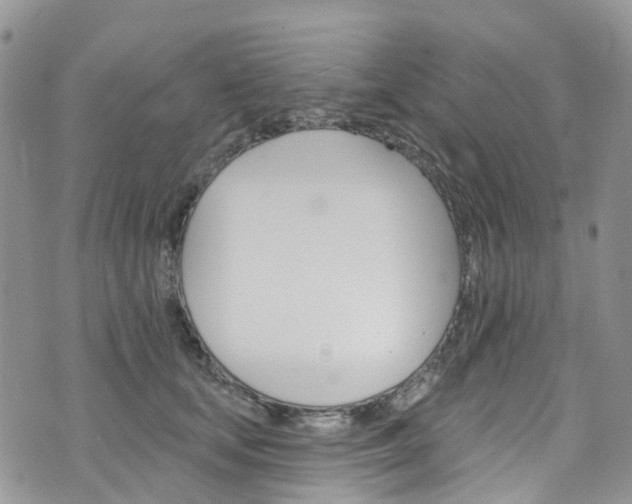 X0000076400659200610161206