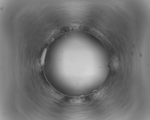 X0000076400661200610161206