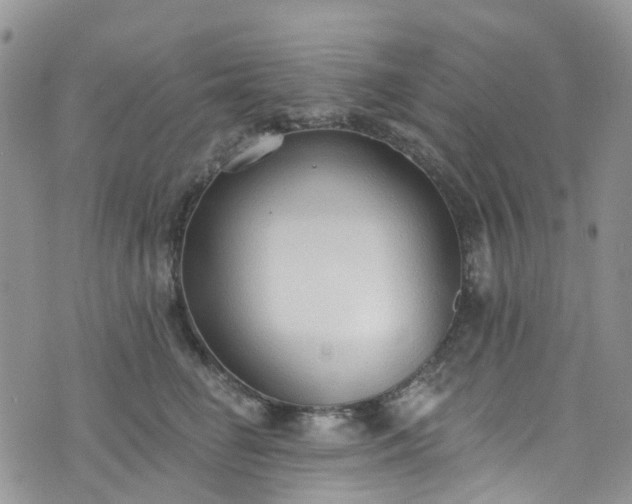 X0000076400662200610161206