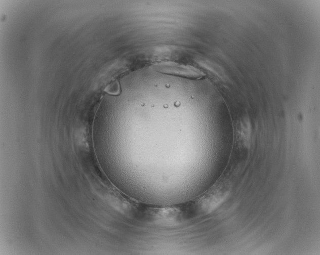 X0000076400663200610161206