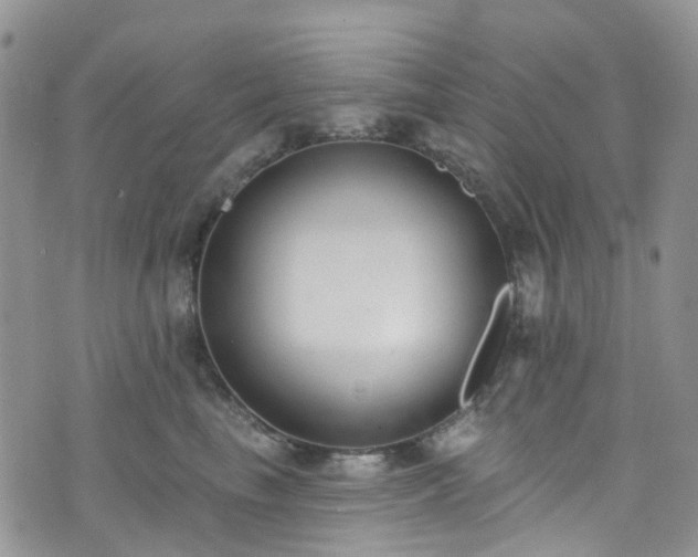 X0000076400665200610161206