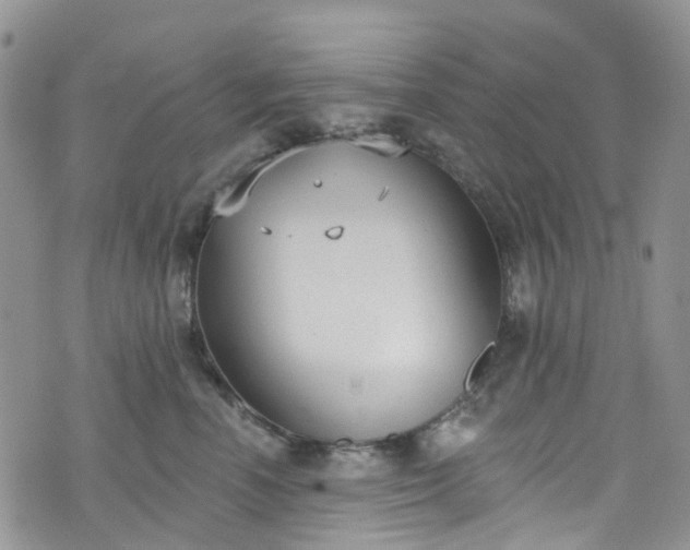 X0000076400666200610161206