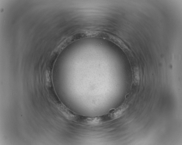 X0000076400667200610161206