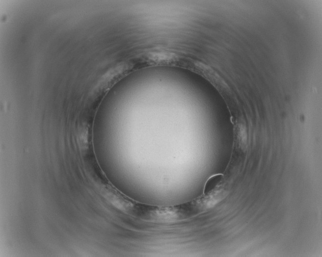 X0000076400668200610161206